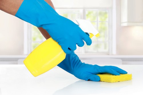 Professional oven cleaning in a Fulham kitchen