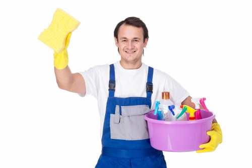 Professional gutter cleaning service for homes and businesses in Fulham