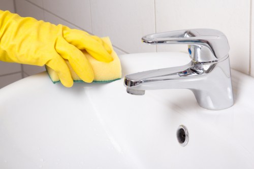 Local pet stain and odour removal service in a Fulham apartment