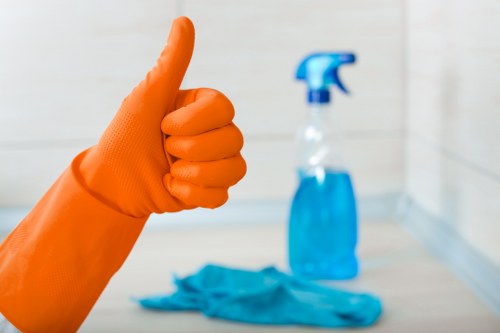 Illustration of requesting accessibility support for cleaning services
