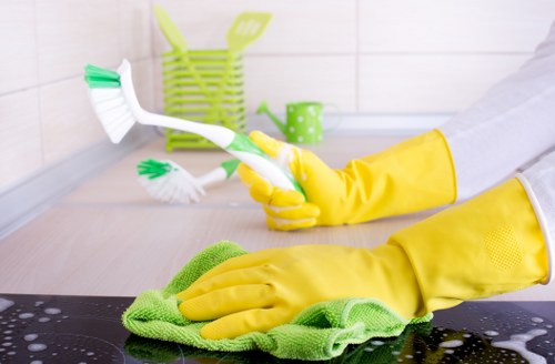 Window cleaner working on residential glazing with care in Fulham