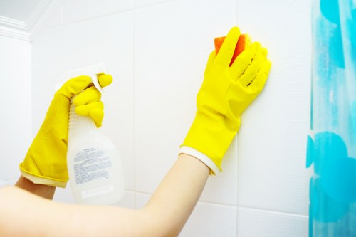 What is included in a professional stain removal appointment in Fulham