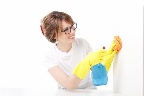 Rug inspection and stain treatment during a local cleaning service