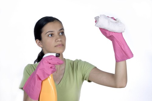 Kitchen deep cleaning during a tenancy clean in Fulham