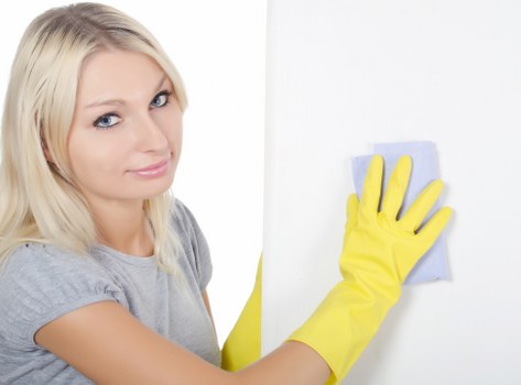 Client reporting a cleaning issue with detailed notes